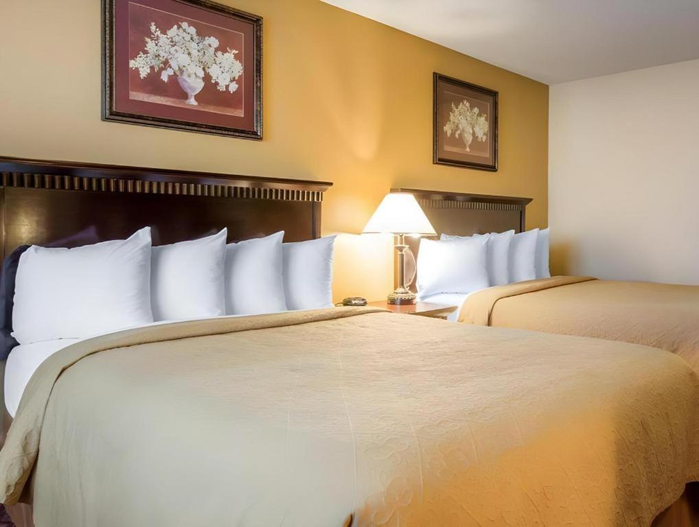 Quality Inn San Bernardino Eksteriør billede