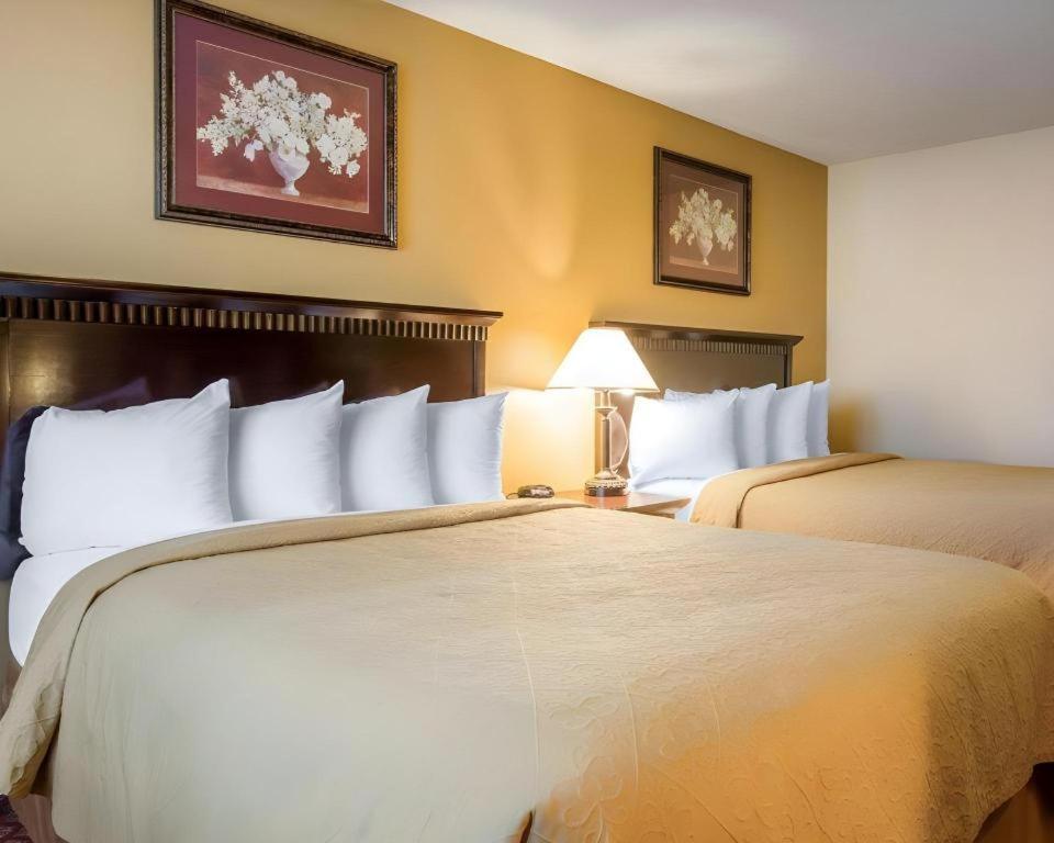 Quality Inn San Bernardino Eksteriør billede