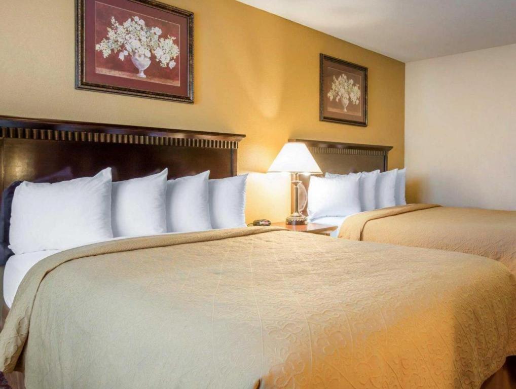 Quality Inn San Bernardino Eksteriør billede