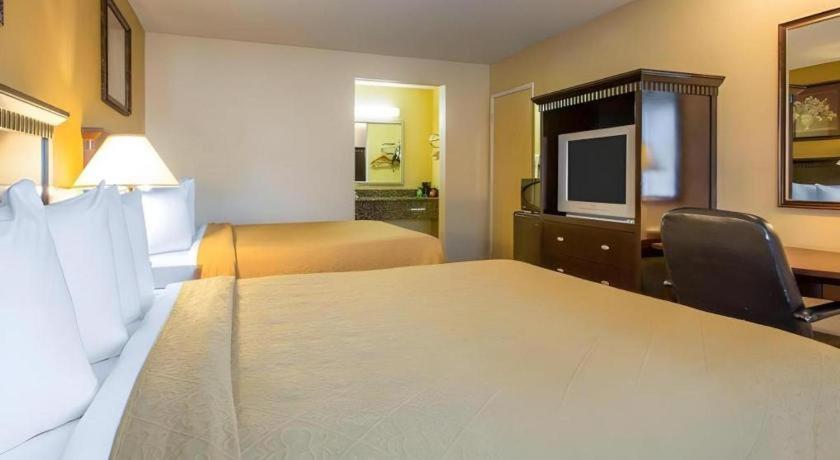 Quality Inn San Bernardino Eksteriør billede